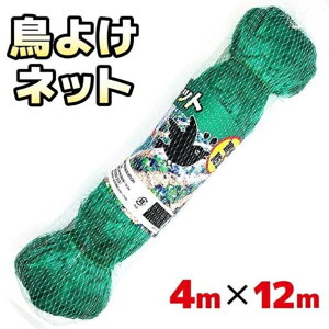 悯lbg hblbg 唻lbg 4×12m JX΍ S~̂ď  Qb΍ lY~  L Qb x_ EDN-351[(ꕔn)]