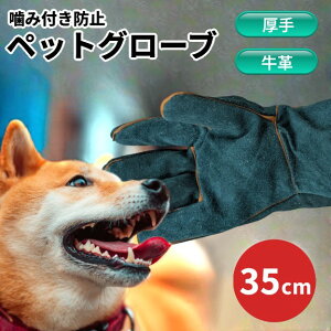  vf ݂h~ ybgO[u 35cm S  L  K[fjO | Lv[(ꕔn)]