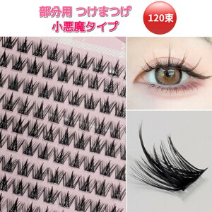 p  120 ܂уGNXe Zt܂GN i` [`OXցAAs]