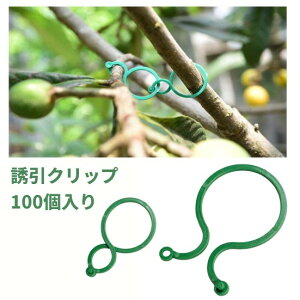 U|Nbv Nbv 100 x ږ  Œ oh K[fjO[`OXցAAs]