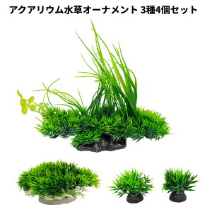 ANAE I[ig 34Zbg IuWF lH tFCN Mы [(ꕔn)]