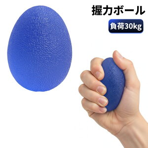 ���̓{�[�� ����30kg �u���[ ���^ ���n�r�� ���̓g���[�j���O ��� �w �q�� ���� �����[��`�O�X�ցA���������A����s��]