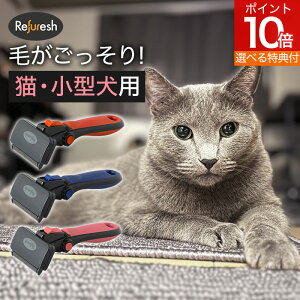 yTAz ybguV STCY Refuresh t@[bV uV  ubVO O[~O fBVF[fBO уPA c[ Z   L ^ vdl  