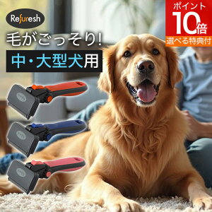 yIׂTAz ybguV MTCY Refuresh t@[bV uV  ubVO O[~O fBVF[fBO уPA c[ Z   L ^ ^ v