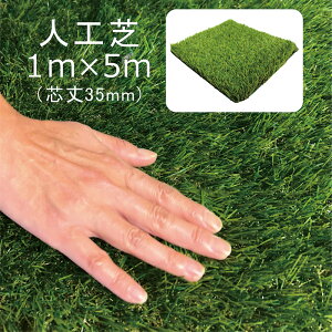 lH hV[g ̌^ 1m×5m [ s }bg hV[gtlH hlH x A h Ő Gh~ lHŐ lHŃ}bg Ő}bg O   eX  x