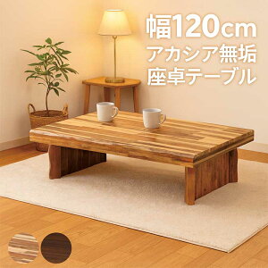 C  e[u Be[W 120cm 120×80 ꖇ AJVAC  ` [e[u rOe[u ԑ e[u  ȂH tV ؐ i` 