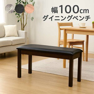 _CjO x``FA 2l 100cm ؐ x` Xc[ wȂ _CjOx` r[`C VR   zCg ubN i` RpNg ȃXy[X x`֎q x`