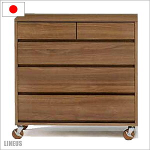 y5̂ SiP5{z`FXg ^X [`FXg 80cm s40cm 75cm 4i Y { uE LX^[t Xgbp[t o tI[v[t wʉώdグ a