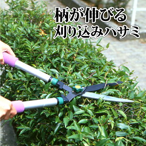 Lт銠荞 pP[Xt |  }  Ő _  }  A Lт Lk 荞 ͂ nT~ ΂ oT~ 荞  K[fjO  y c[ _
