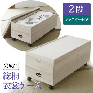 ˈߏփP[X 2iLX^[t 94100 { Y ˈߑP[X ˈߏփP[X ˔ ˃^X  [P[X ˈߑ