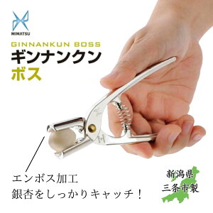 MiN {X A~ { Os H쏊 ݂܂  Mi ǂ̊k k Ȃ  ȒP S 508 y[֑Ήz