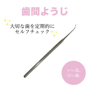 【今だけ!送料無料★】歯間ようじ ステンレス製 約148mm サビない 衛生的 歯石 歯石取り 歯石とり 歯垢 歯石削り ヤニ取り 汚れ 除去 オーラルケア 長く使える 煮沸 安心 衛生的 ギフト 母の