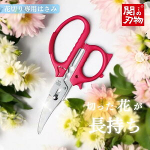 yr[TzԐ؂ꂸ ZB Ԑ؂͂ / Ԃ̌s؂ ԗp Ԑ؂΂ ؉ Ԃ؂邨 Ԑ؂nT~ nT~   ȒP Trɂ  ؂ꖡ