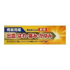 【お買得クーポン対象】【送料無料】【第(2)類医薬品】ボルカインA軟膏 25g　痔治療薬　痔　かゆみ　ポラギノール