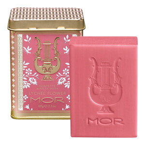 yN[|ΏہzyzMORiAjgOWA[Y v`\[v C`[t[@i@@Mtg@v[g@@XLPA@j