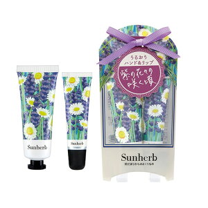 yN[|ΏہzyzTn[u nhbvPAZbg x_[J~[ ( nhN[@bvN[@@ێ@Mtg@킢@@@j