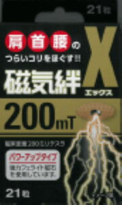 yN[|ΏہzyzCJ@200X@MT@ 21@@@̂ق