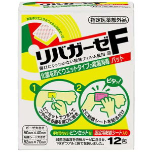 yN[|ΏہzyzoK[[F 12 ؏ 菝   C@ANm[@Eہ@