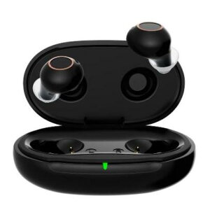 yN[|Ώہzyz ȎWNK|701@W@[d@Ë@