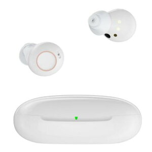 yN[|Ώہzyz ȎWNK|701@W@[d@Ë@