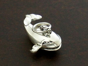 yoriental vibrationszyǦ~z Silver925 y_ggbv