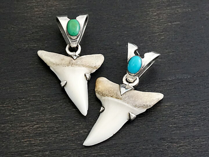 楽天市場】【インディアンジュエリー】 Silver925/鮫の歯/スリーピング  