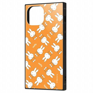 iPhone13mini /w~btB[x/ϏՌnCubhP[X KAKU/IW