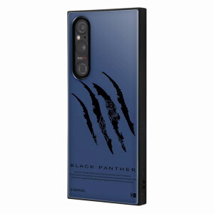 Xperia 1 V/w}[xx/ϏՌnCubhP[X KAKU /ubNpT[/ACA}_2 /XpC_[}_2/Fm