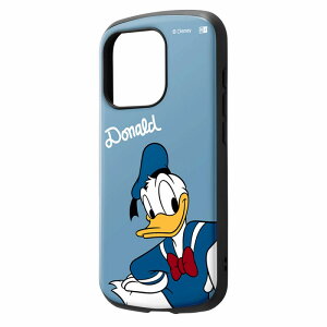 iPhone 15 Pro fBYj[/ϏՌP[X MiA/hih_bN/~bL[}EX/~j[}EX