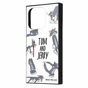 iPhone 15 Pro gƃWF[ / nCubhP[X KAKU/ȃg2