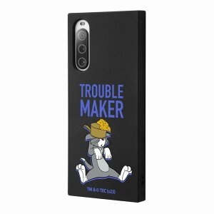 Xperia 10 V / gƃWF[ / \tgP[X KAKU / g_`[Y