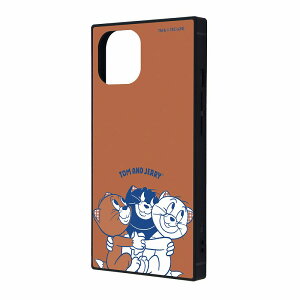 iPhone 15 / 14 / 13 gƃWF[ / KAKU Ռz op[ XNGA nCubhP[X / 3C̎qL