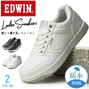 yzEDWIN GhEB Xj[J[ fB[X h JWAV[Y y h JWAXj[J[ RtH[gV[Y X|[c ʋ ʊw q EH[LO C fB[X
