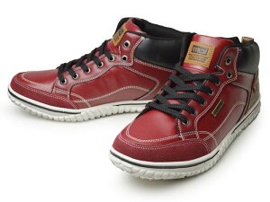 Ԍ聜|Cg10{yzEDWIN GhEB Xj[J[ Y h h݌v JWAV[Y y h JWAXj[J[ nCJbg RtH[gV[Y j C 