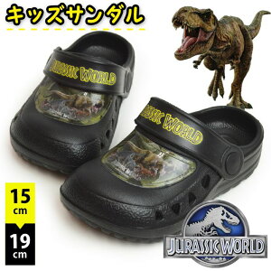 ubNtCf[SiPT5{WVbN[h T_ LbY 2WAY  NbO T{T_ AEghAT_ r[`T_ ̑n T-REX j̎q ̎q Y f