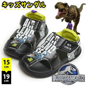 ubNtCf[SiPT5{WVbN[h T_ LbY  AEghAT_ r[`T_ xN }WbNe[v X|[c ̑n T-REX W[ } j