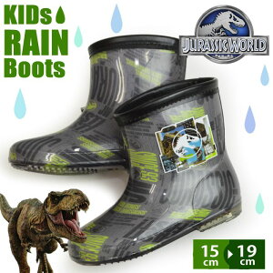 WVbN[h LbY Cu[c h V[Y q C WjA  y CV[Y j̎q ̎q nCJbg ̑n T-REX LN^[ w C ʊw JC y