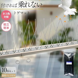 L悯 悯ObY Ƃ }bg 10Zbg S2.5m x_ 悯ObY Q 悯 ފ ˂悯