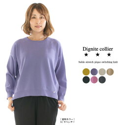 【5%OFF&2点購入1,000円OFFクーポン&10倍ポイント 4/24 20:00-4/27 9:59まで】Dignite collier ディニテコリエ サーブルストレッチ鹿の子切替ニット LC809100○