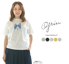 【20%OFF】grin グリン エーゲ海ベアドッグptT 8241C-022