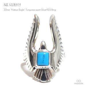 VASEERA -@V[- lCeBuEC[O ^[RCYߍ 33mm ^ Vo[O yY/Vo[925/w/GAR-003z