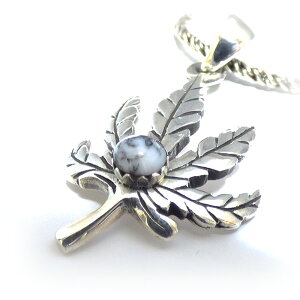 VASEERA -@V[- lCeBuAJ zCgobt@[(nECg)ߍ ̃}t@i Vo[ y_g gbv yCfBAWG[/Y/y_gwbh/V