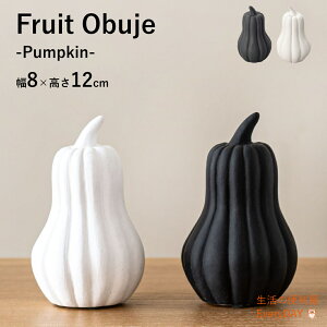 퐻 IuWF ڂ Ђ傤^  u CeAG    }bgdグ A[g  RpNg Ϗ rO 킢  ubN