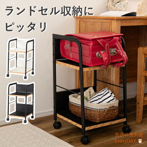 fXNS S TChS Vv ubN  [ LX^[ LX^[t 2i  wt w 60cm fXN fXNS dp X`[ ؐ  Lb` 