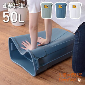 {̑eʃS~ gbVJ 50L S~ _Xg{bNX ӂt 50L  50bg Vv 