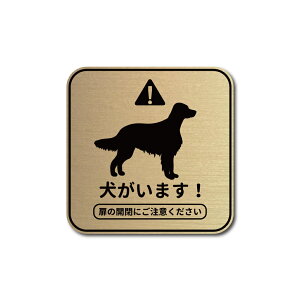 ܂ S[fgo[ ` wAC ^  }Olbg^Cv / XebJ[^CvXebJ[ ObY Ԍ Ҍ Eh~  Ck  ybg  |Xg \D ē 