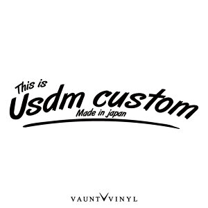 USDM Custom JbeBO XebJ[ USDM JDM X^X stance HDM wt Lowrider Lir[g VR^ wtbV JX^ A AJ V[ fJ[  Xm[{[h hiphop Bn 