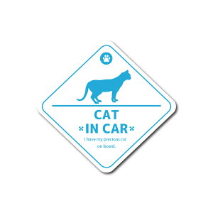 CAT IN CAR lR }Olbg^Cv / XebJ[^CvXebJ[ ObY CJ[ ybg \ h hV[  킢  Vv ˂ L AV g }`J 