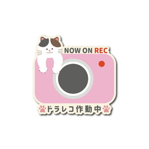 L OєL hR 쓮 J[}OlbgXebJ[ ^撆 lR hCuR[_[ 킢  VAu[ L L n` ^] ^] h~ h O REC 