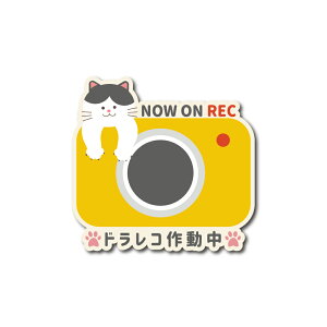 L n` hR 쓮 J[}OlbgXebJ[ ^撆 lR hCuR[_[ 킢  OєL L L n` ^] ^] h~ h O REC ڎ 